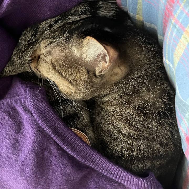 730e6bd7 db52 4a73 8106 db7fb0474022 1766236372232