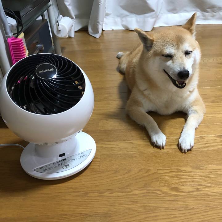 730e8127 13be 47ad 82e2 5619272b69b2 1561214745346