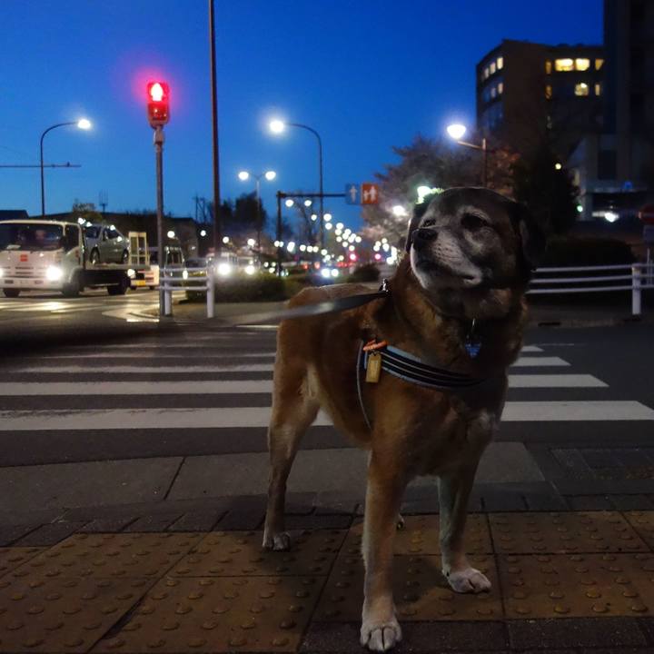 730e9dc5 6323 462e 94ef 4f37bf7d0fb8 1664758804176