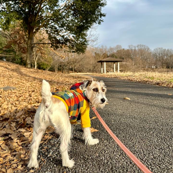 730ea5e2 b1b6 47c7 bc46 dc0970869890 1704874953706