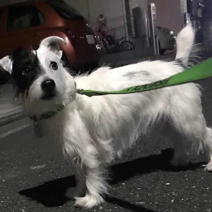 730ec8b9 62ae 408b a8fb c15a6d3d4501 1543667598469