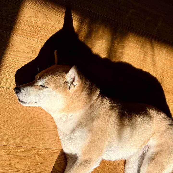 730ed3ce 9c32 4c7e a47d 2bee28520601 1768712354424