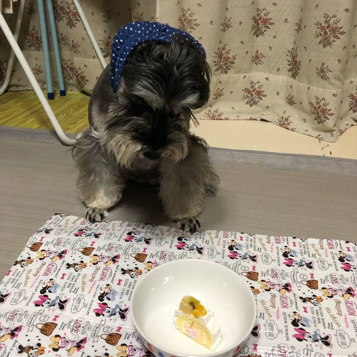 730ee279 7395 455a 8f74 70638a6c404a 1578219117871