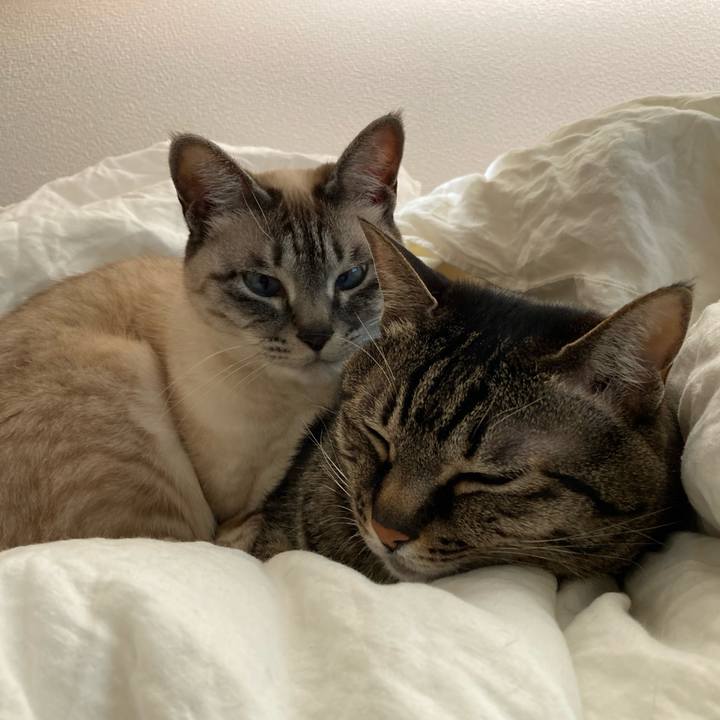 730f11f3 38f7 4e2c b608 eae786a5f507 1681541066769