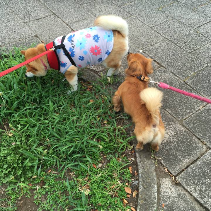 730f53cb ba37 493a 8a40 9ec8112bdef4 1596937297316