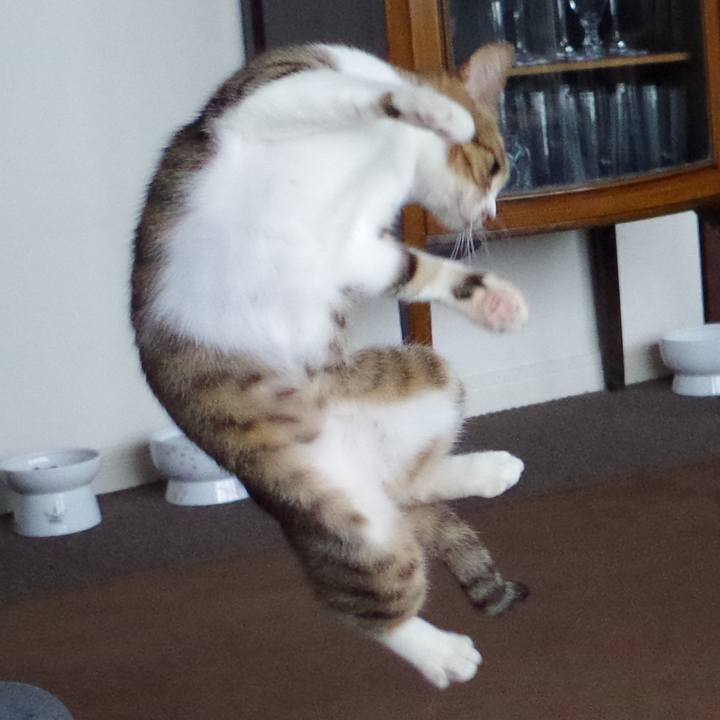 730f9cd7 df3e 44e9 b362 79bda8905051 1596655300657