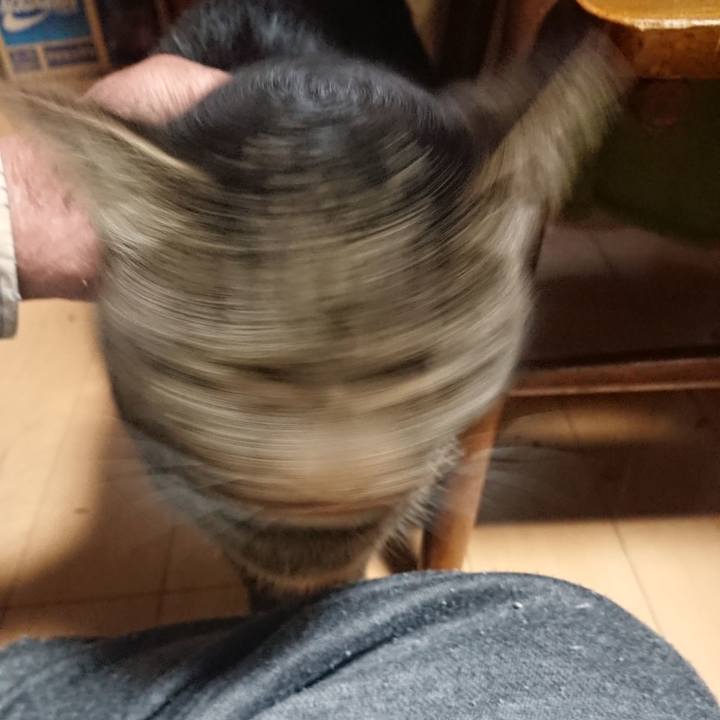 730fa9cd 9a8d 4175 91ba efadaf81d7bf 1636197539779