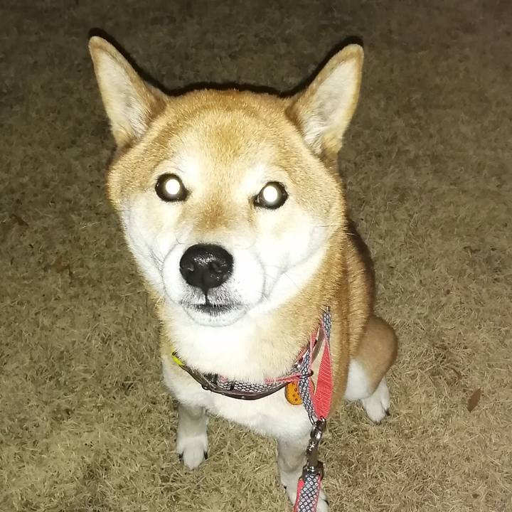 730faece 35b7 4897 81d5 3264a108a4e7 1640076669293