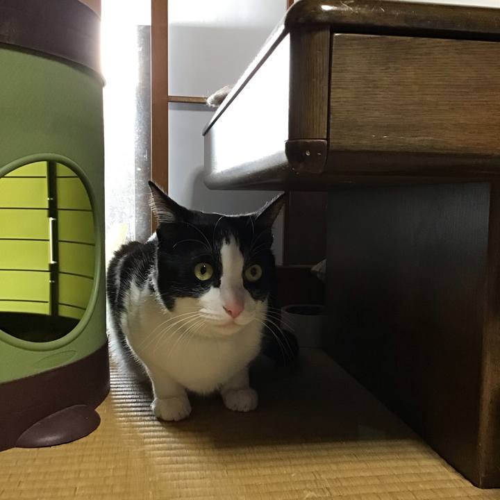 730fba33 8d17 4543 aa46 2d59b337f9bf 1742545536765