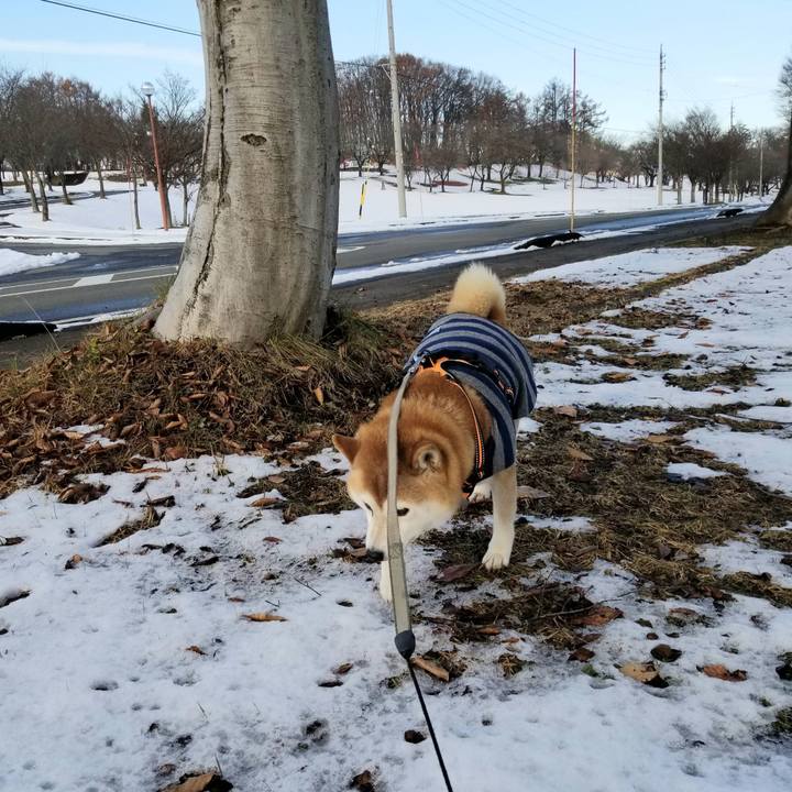 730fd29b ab7d 4d56 98e7 abcc6646cd84 1638162426044