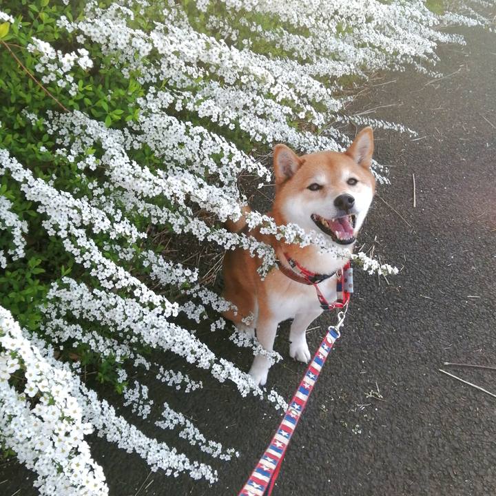 730fe04f 3a96 4ea2 aed2 402c8b63d647 1679490495696