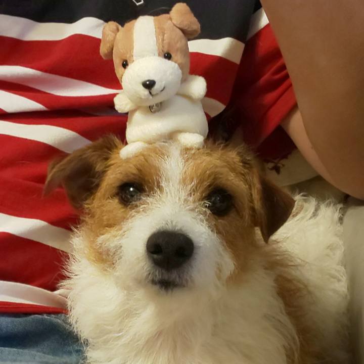 730fe575 103e 4ee7 a7dd eea6eca459f5 1561283095291