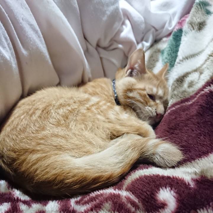 730ff99a 2ca2 4e8a a447 d33e62267e87 1634904699412