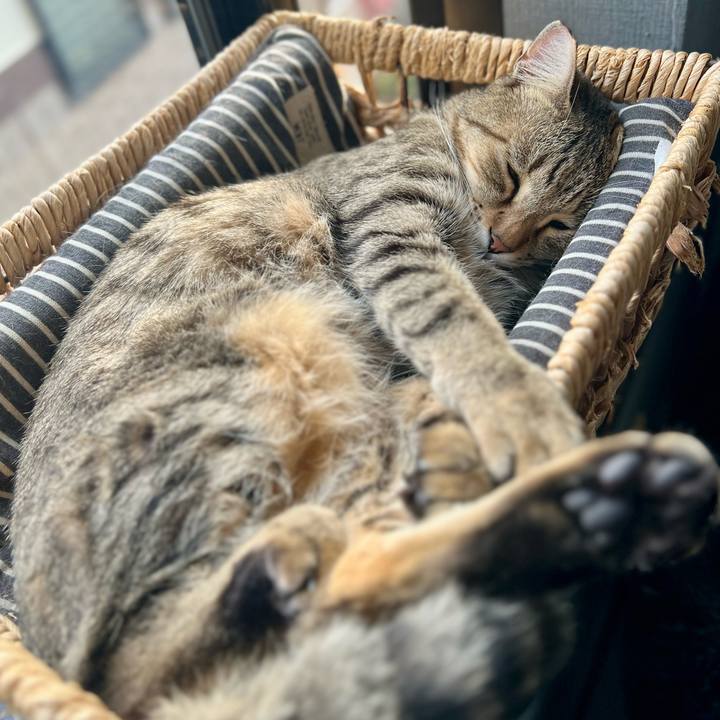 7310013d 2c4e 42f7 bd8f d6073dcb68fd 1764675201141