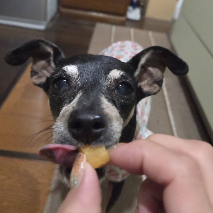 73100728 16ff 4bf6 be65 4ed28ac1ae4a 1754593693968