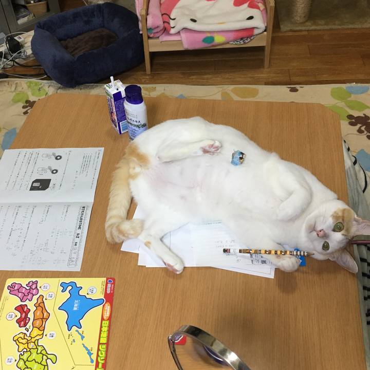 73101696 5267 4a6e b6a0 8d9a13eef64c 1523271781443