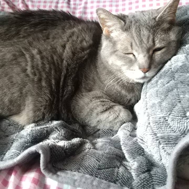 73105eac 218a 44e0 9dee dfe9e8ec6fcc 1611457232485