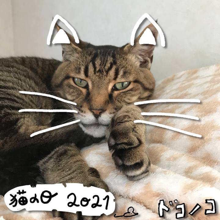 731063cd 22dc 4eb6 b97a d57bd63474b6 1613960010698