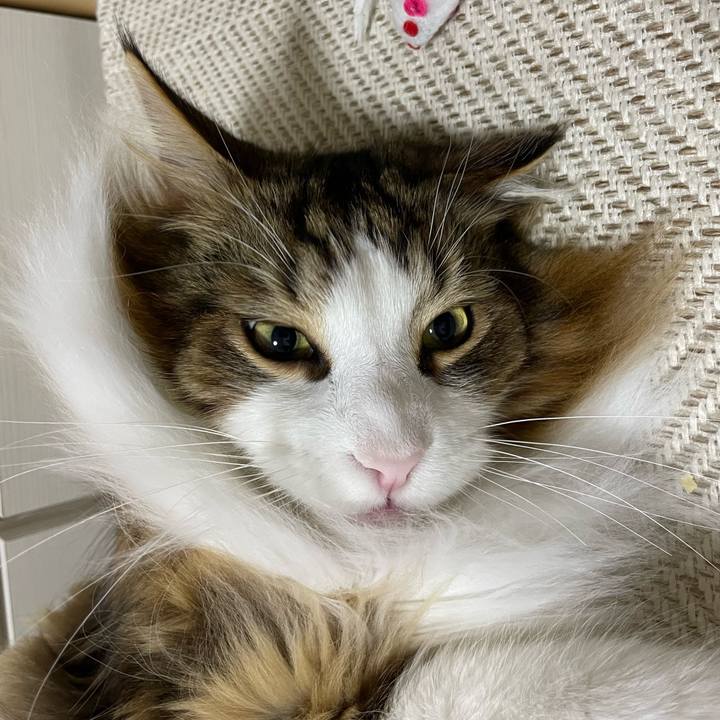 731085a7 2175 4820 aba9 e43c705bb229 1676064479439