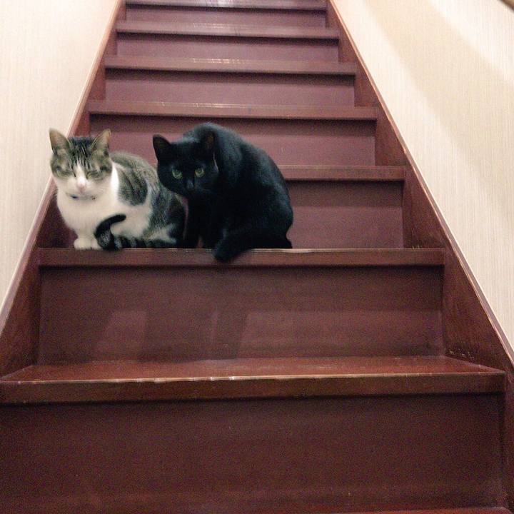 7310a81b f60d 4d91 94fa 932775d63a01 1515415740555