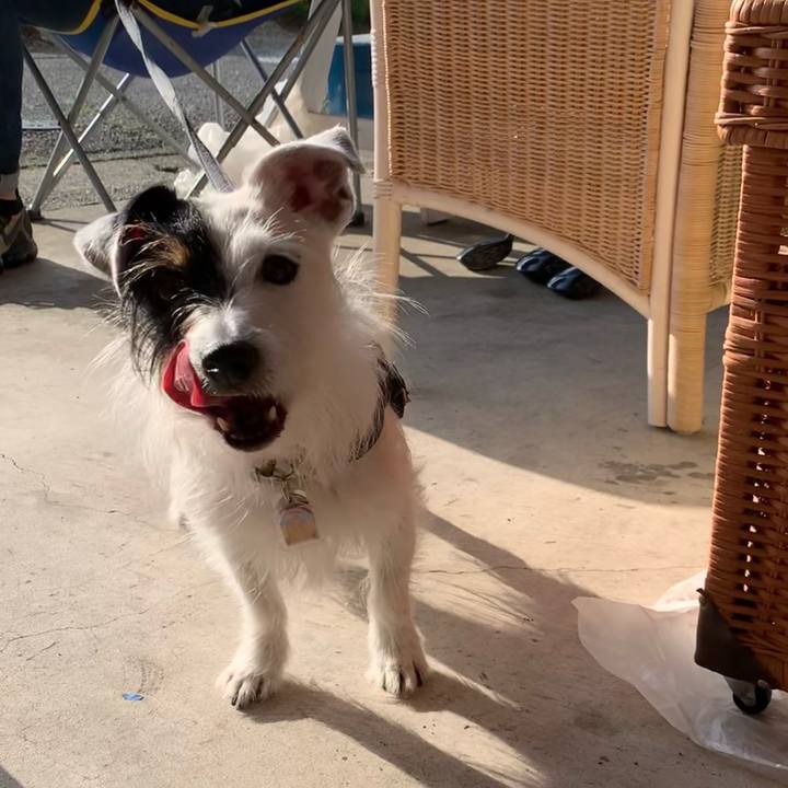 7310bcb0 d3c2 45c0 b76a 38ad8560c39f 1651308295547