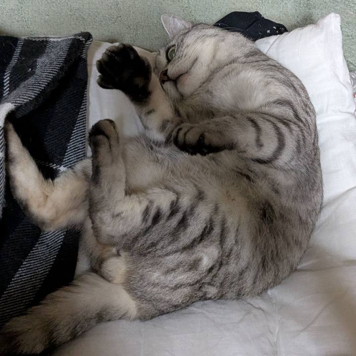 7310c28f f20f 48eb ba4b 563e8669d96c 1770297151003