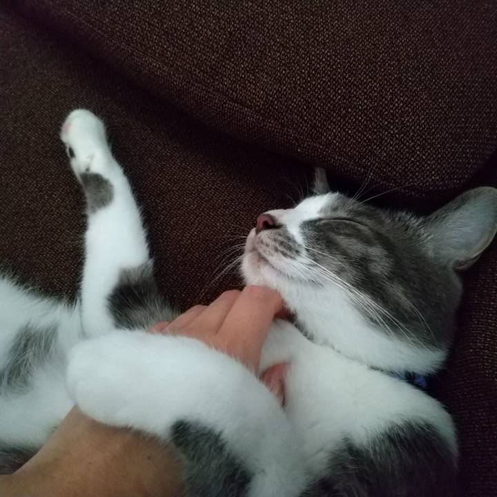 7310d78a 6f2b 4986 a1b6 cab7192fb5dd 1597981644858