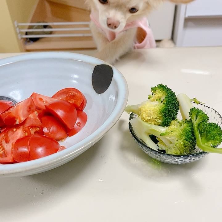 7310e501 b75e 4678 b678 b677e9872223 1615260444557