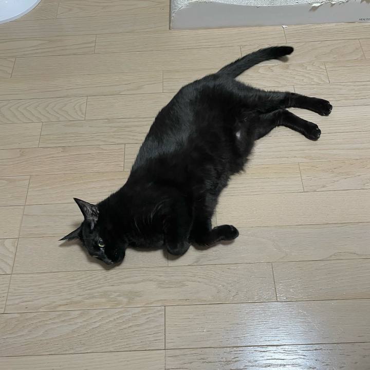 731108eb 355b 4fc1 a55b 1d900e11fd75 1721570440252