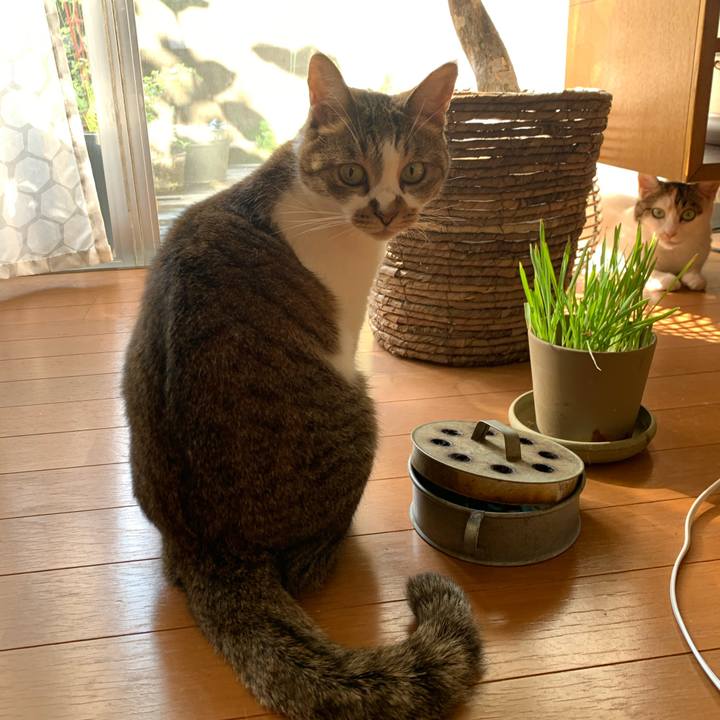 73110fa7 9f4f 4a7b b982 e07b8ade0064 1661728724356