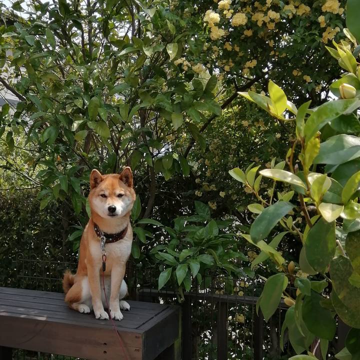 73112528 a948 4fc3 8968 d8d11cb7165c 1588216618103