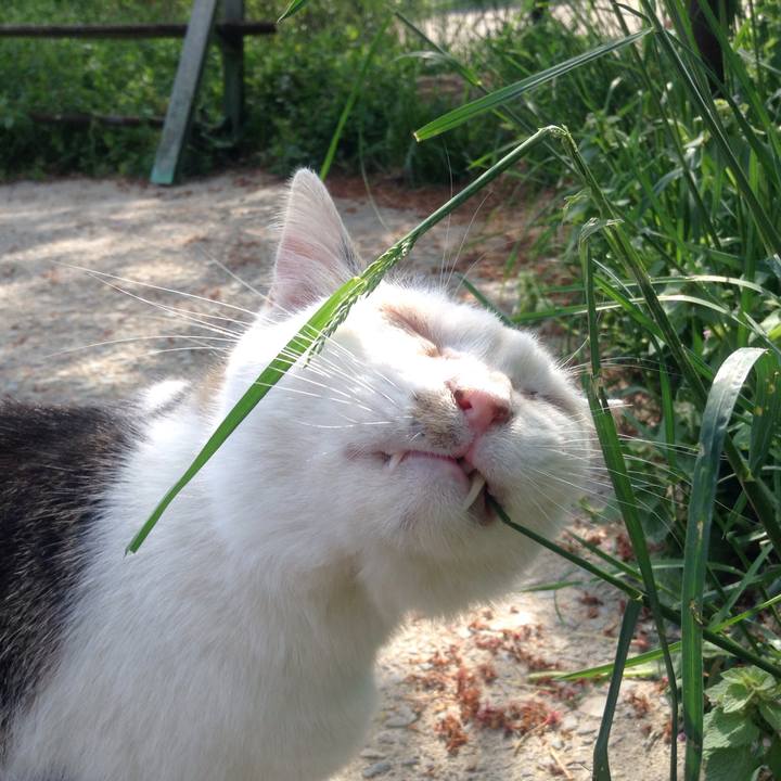 73119358 74d7 4156 a7f7 971493386dc2 1524401349292