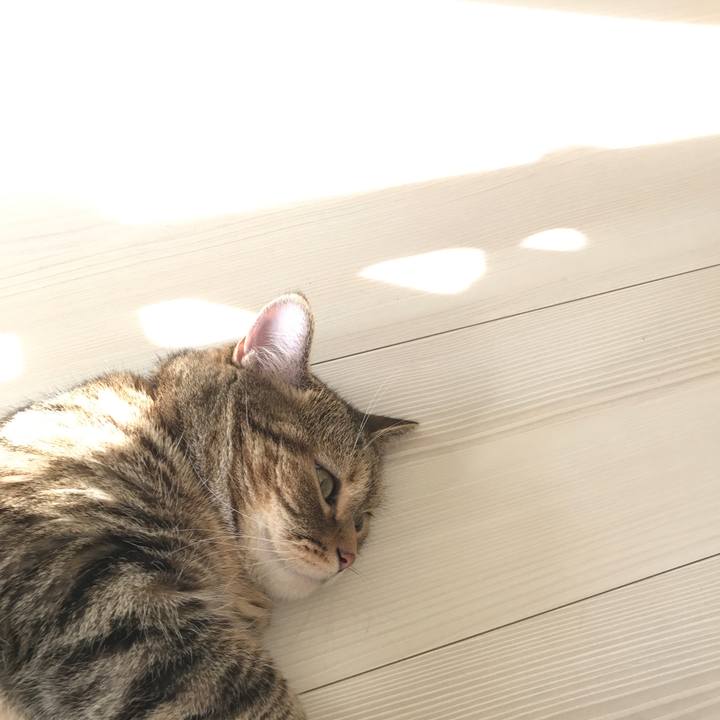 7311c65b f174 4835 b1fd 622c48b10cae 1507775538648