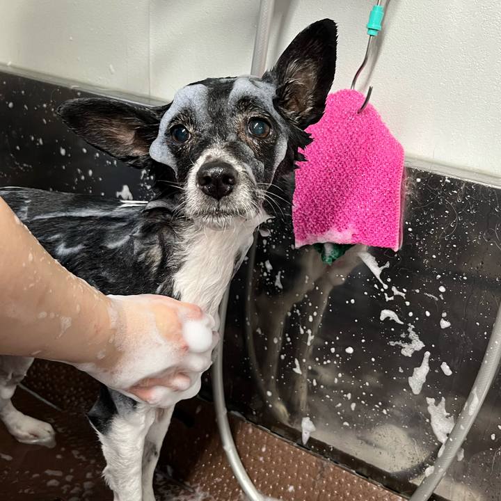 7311ecfa 08d9 4806 8f33 c63565206259 1673872448515