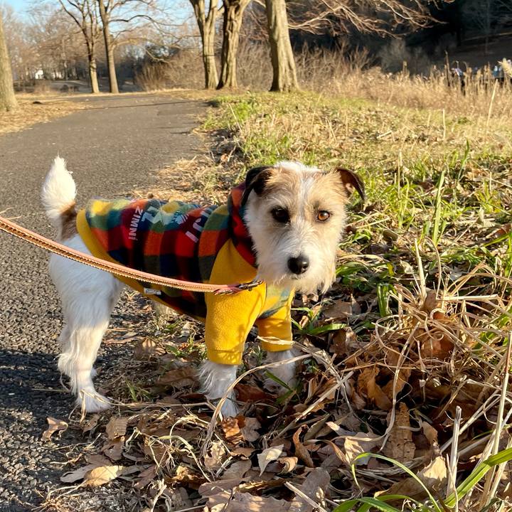 7311fc52 529f 4c8f a346 3b6b4189d9a0 1675073356628