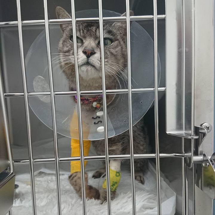 7312049f 739a 42b2 82af c4b3ce85bb4f 1585904321296