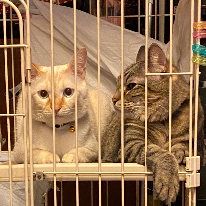 7312312f 1858 4509 a551 28b848a717ba 1608377530606