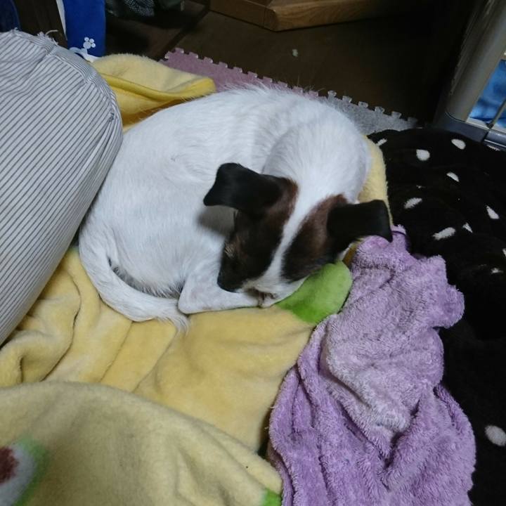 73123208 6e58 4edd b792 2a49b535bc97 1515322872005