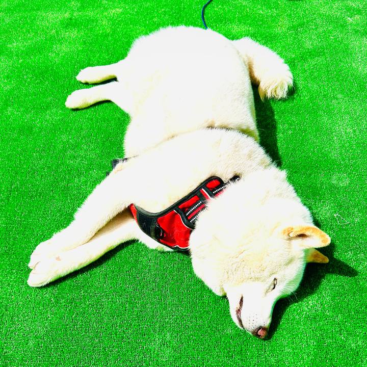 73123f71 cafe 4b64 ae0b 884e5ed5f301 1714188226936