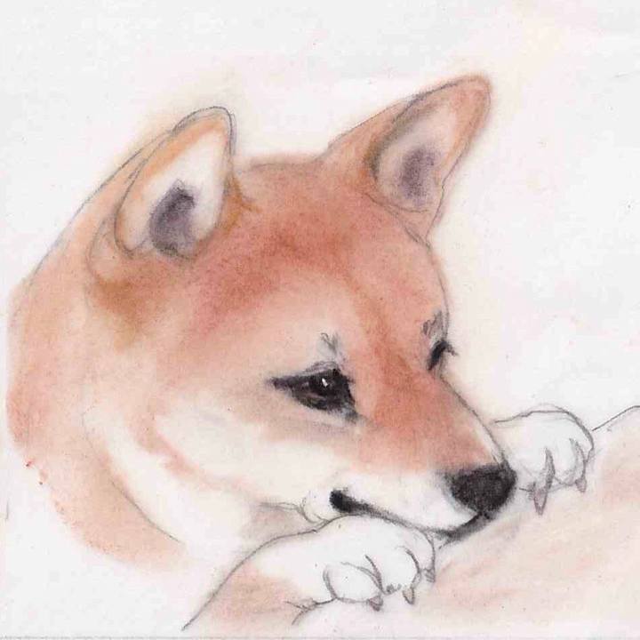 7312c31f db93 411c 8cf0 fe9c00462349 1662038942563