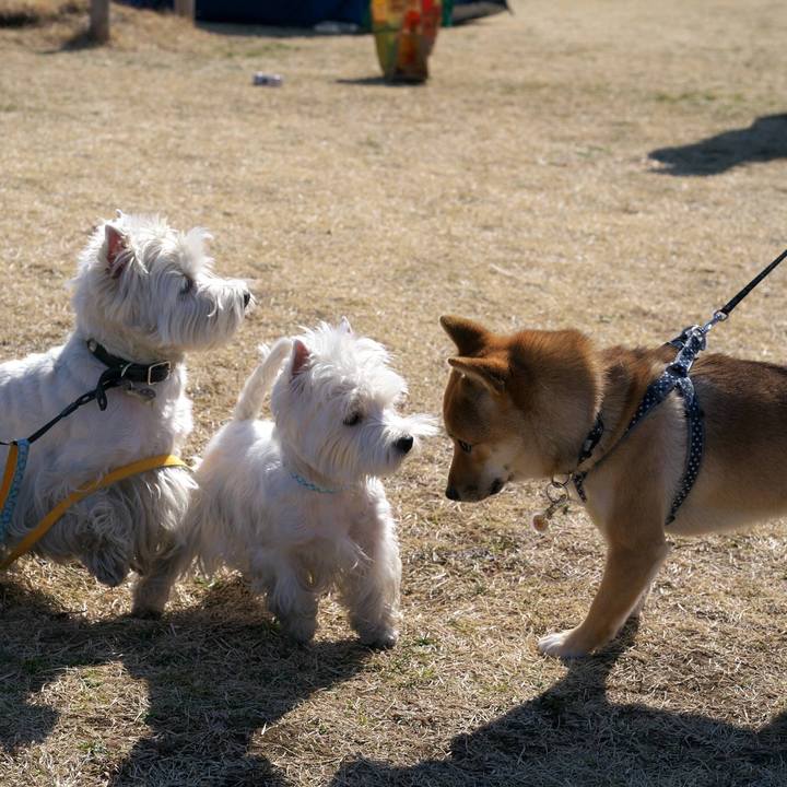 7312e9b6 a7c3 4bfe b0c9 3e22be5c40e9 1518961682753