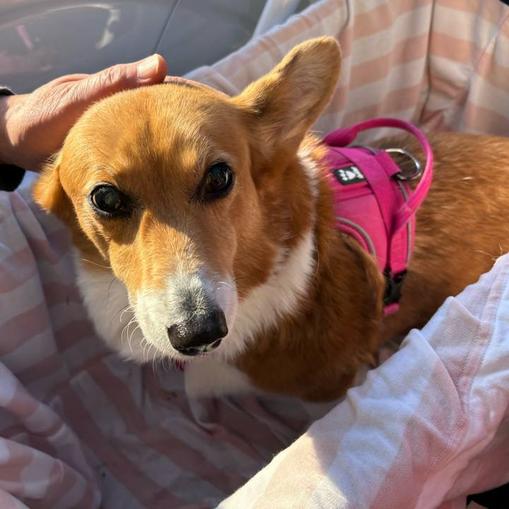 731300af 744b 4899 8e6d 08aca59a5993 1735283773151