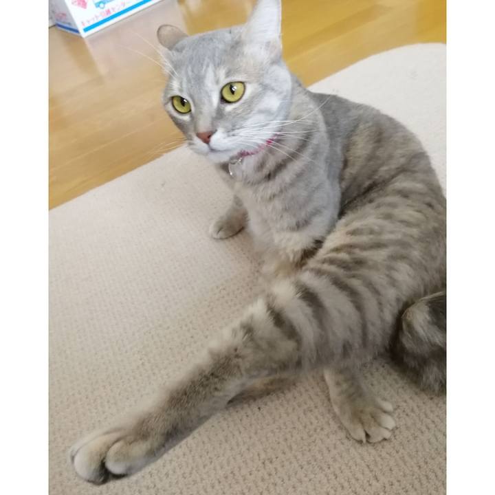 7313028b 330f 4463 b1da d900f9410810 1519695945116