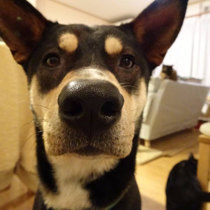 73130944 70be 4708 b3f9 a64ab736a450 1523447609566