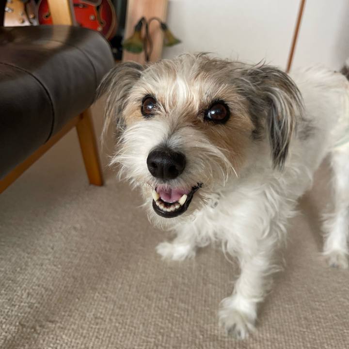 73131bee 14bc 4e99 8b1d 8a5ff64f98da 1763030917229