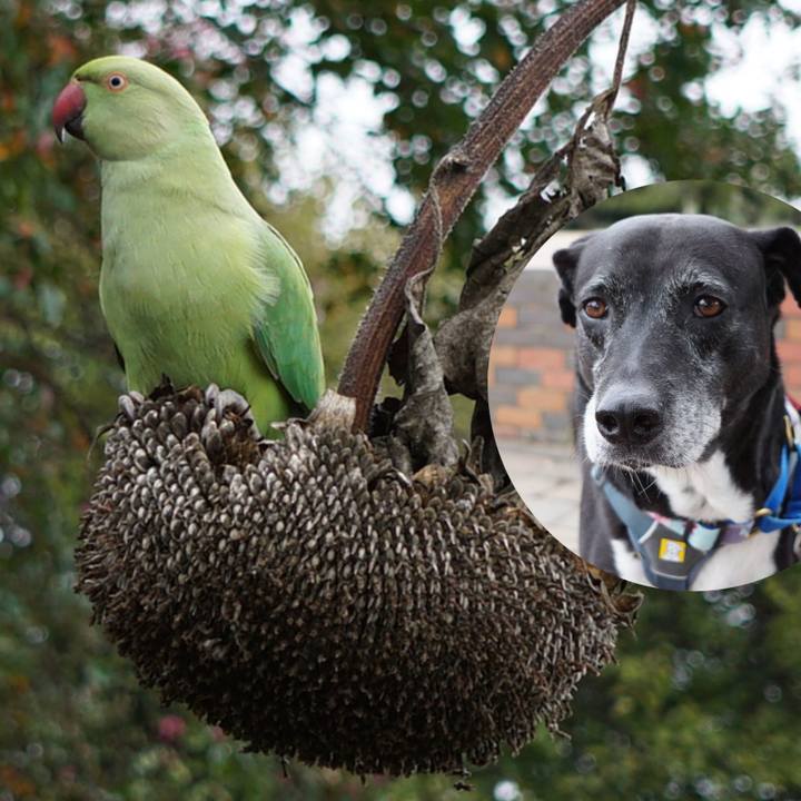 73137ca1 55ac 4863 b2e4 1de8dea4e472 1759624479953