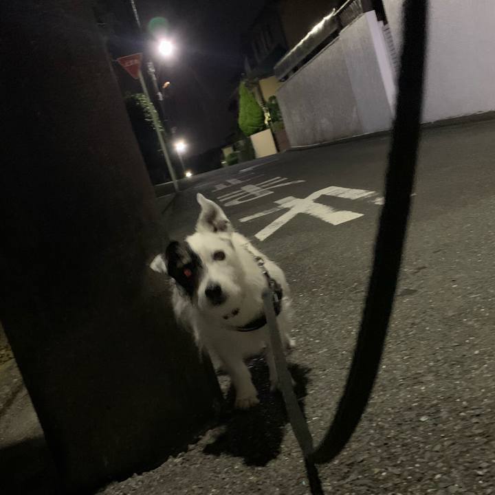 73139ceb 05e7 44bf b622 58ed108d4550 1749302567776