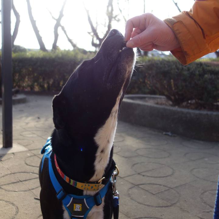 7313a69f a9cb 4374 a90b 4bee77922ec3 1614559326377