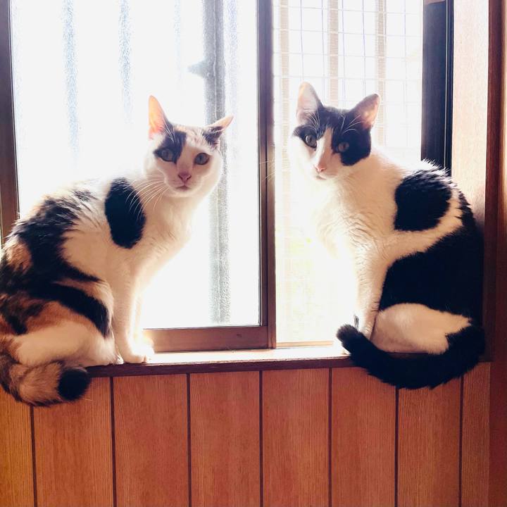 7313d205 91e8 4f96 8a72 73f42a6b21fc 1623896756803