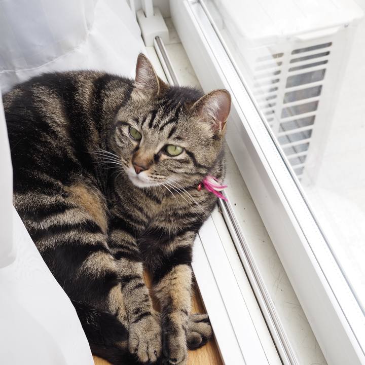 7313eb6b 7a3e 4dc0 9ce3 4c753bb4fada 1623382294481